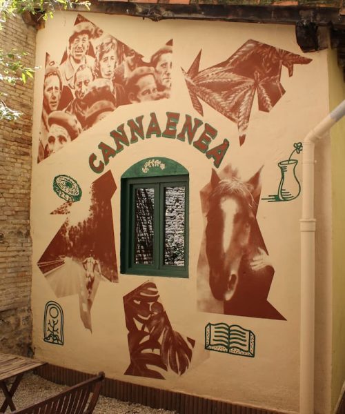 Mural patio completo en Cannaenea