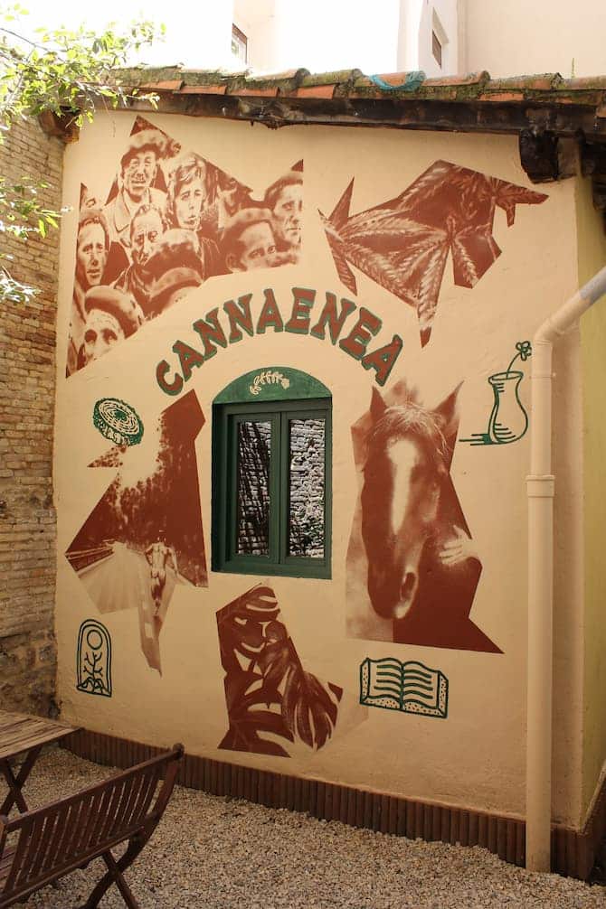 Mural patio completo en Cannaenea