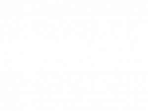 Segundo Ciclo